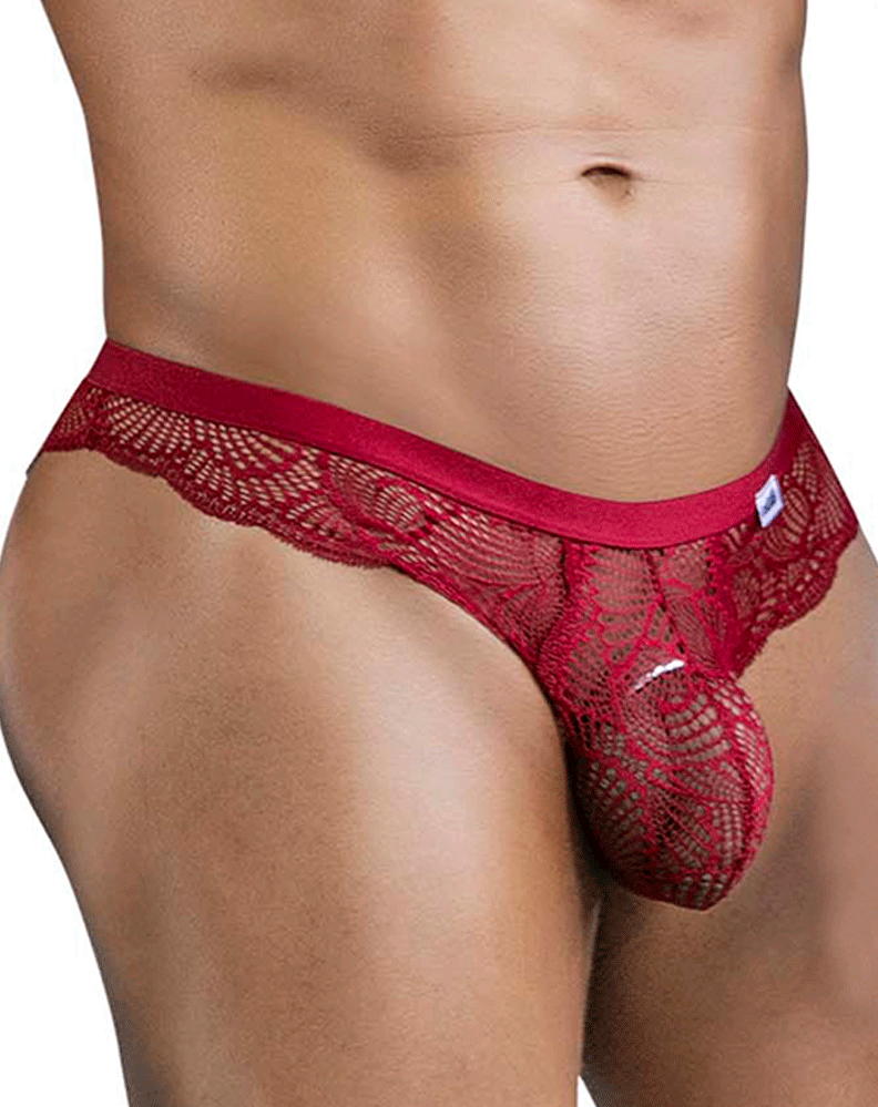 Candyman 99868 Lace Briefs Wine