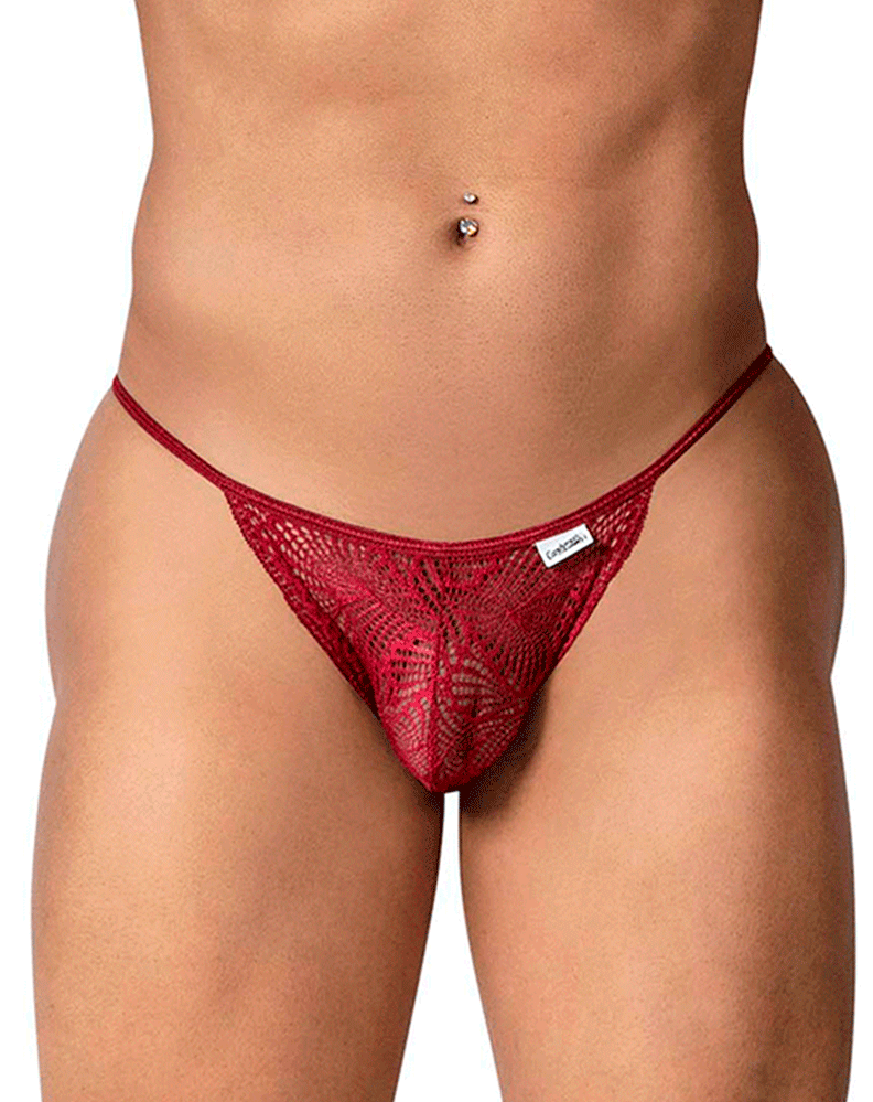 Candyman 99914 Lace Briefs Burgundy
