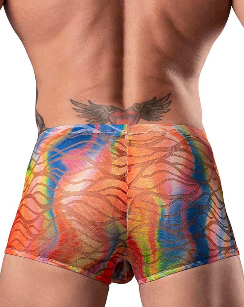 Male Power 131-293 Your Lace Or Mine Pouch Short Multi