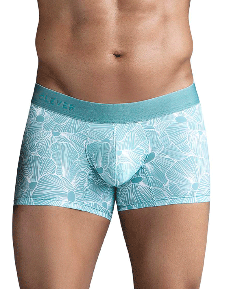 Clever 1729 Rose Trunks Green