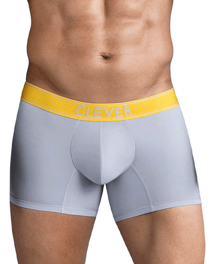 Clever 1755 Diseno Trunks Gray