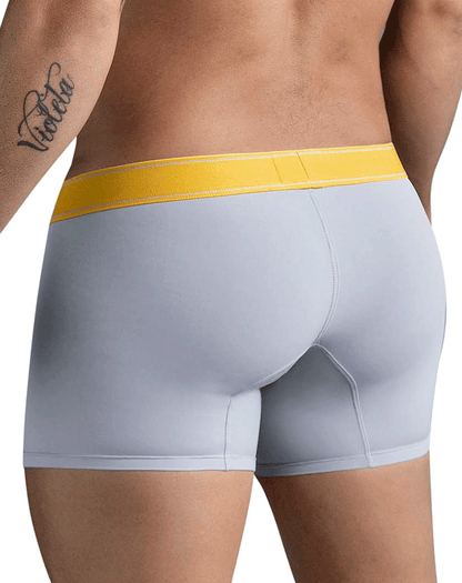 Clever 1755 Diseno Trunks Gray