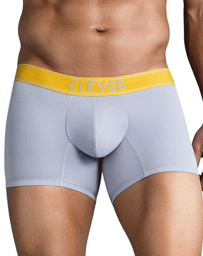 Clever 1755 Diseno Trunks Gray