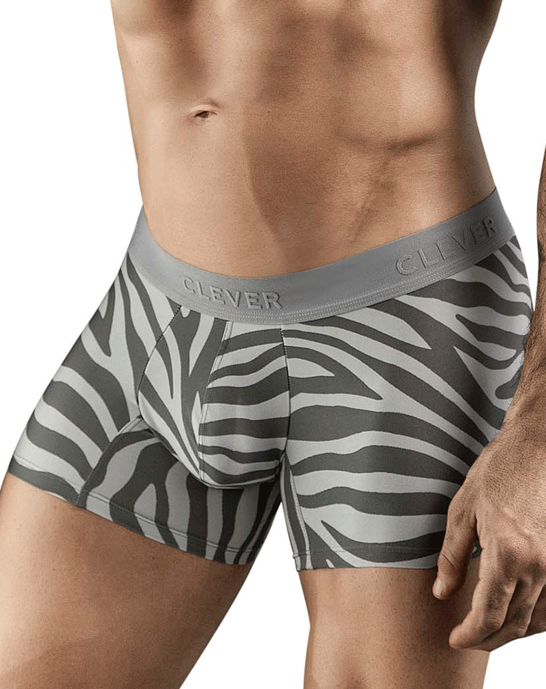 Clever 1800 Cebra Trunks Gray