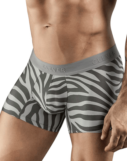 Clever 1800 Cebra Trunks Gray