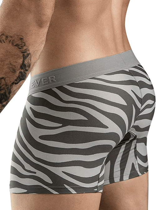 Clever 1800 Cebra Trunks Gray