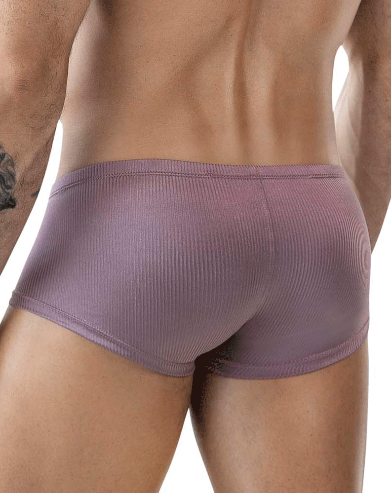 Clever 1844 Aura Trunks Brown