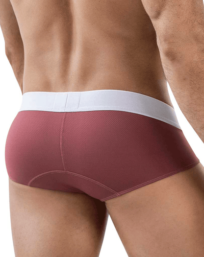 Clever 1863 Lecler Briefs Grape