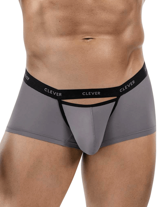 Clever 1866 Tokio Trunks Gray