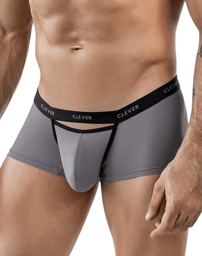 Clever 1866 Tokio Trunks Gray