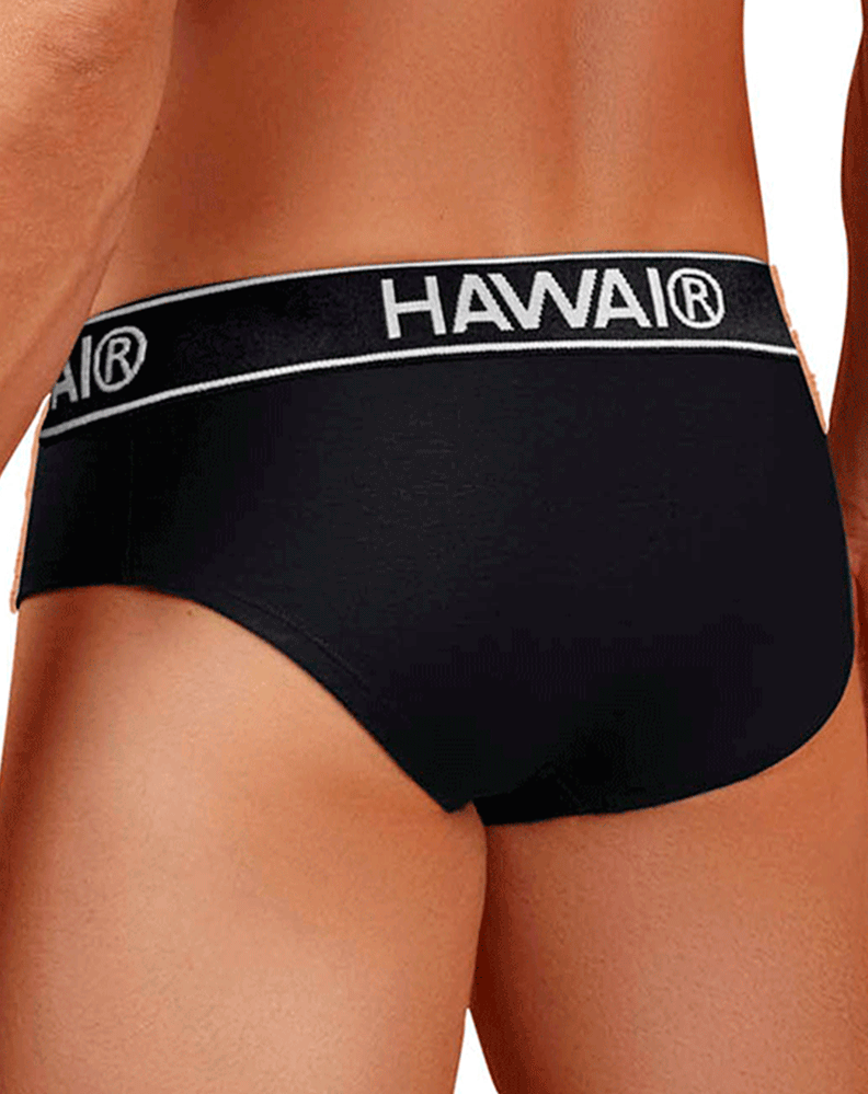 Hawair 41962 Cotton Blend Briefs Black-01