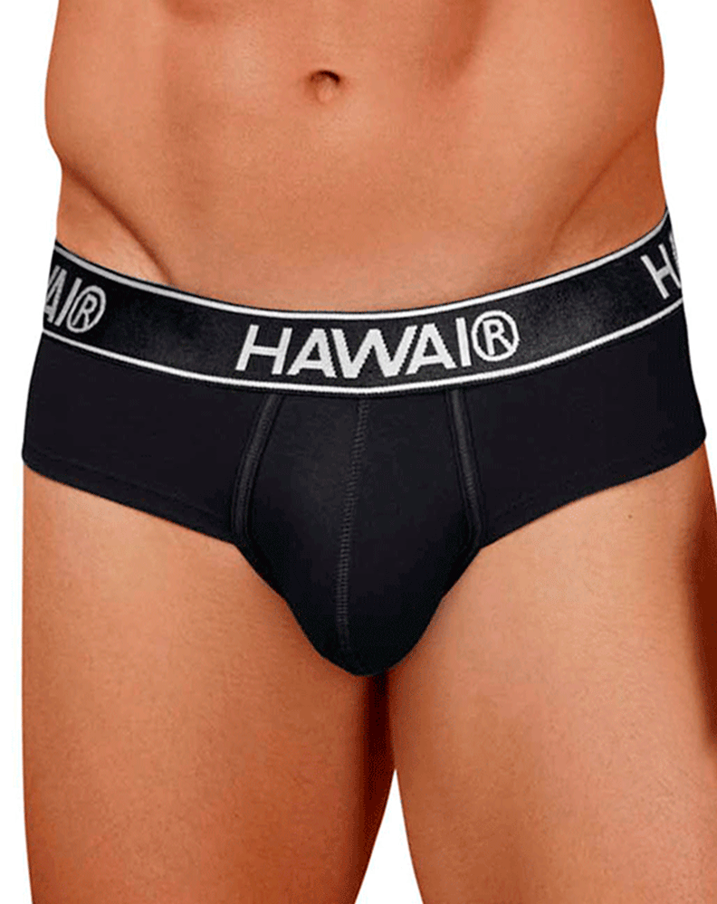 Hawair 41962 Cotton Blend Briefs Black-01