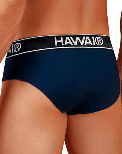 Hawair 41962 Cotton Blend Briefs Dark Blue-01