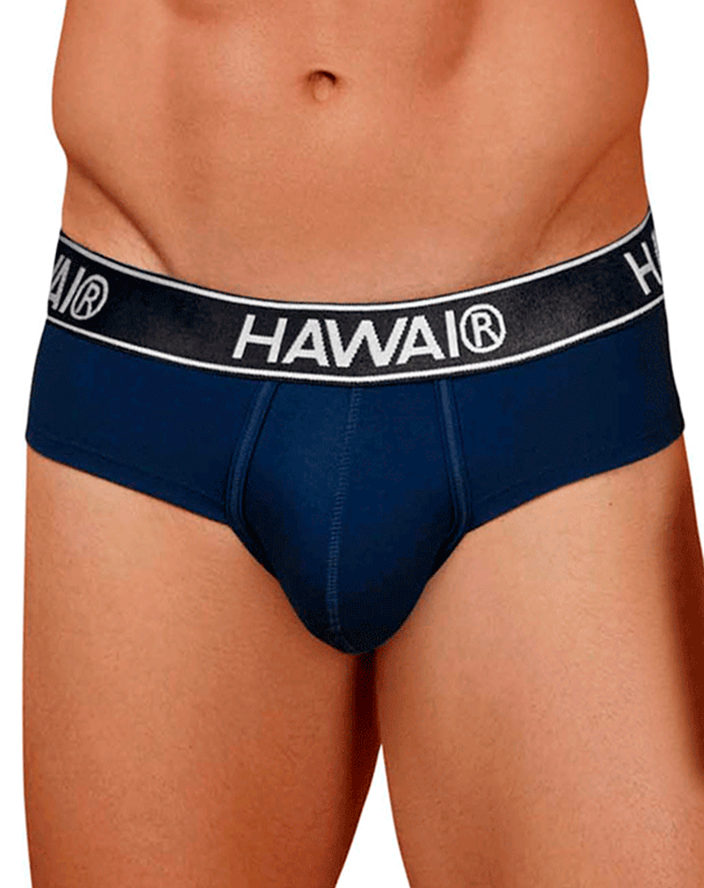 Hawair 41962 Cotton Blend Briefs Dark Blue-01