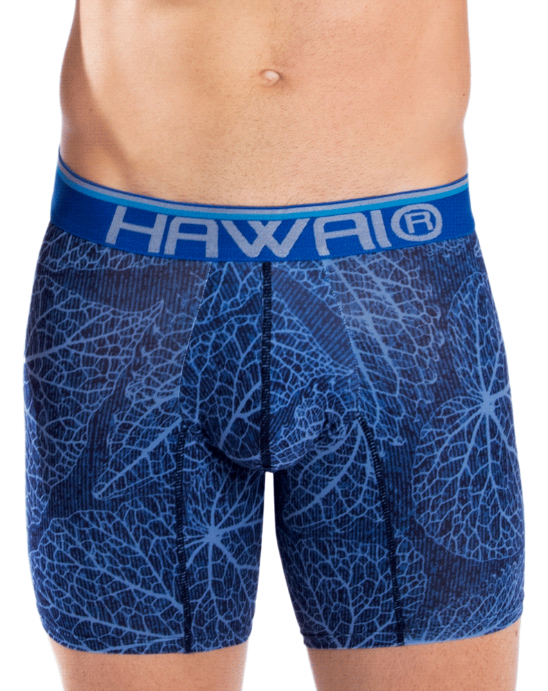 Hawai 42104 Printed Boxer Briefs Blue