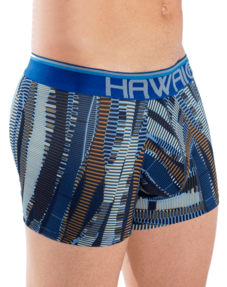 Hawai 42121 Printed Athletic Trunks Blue