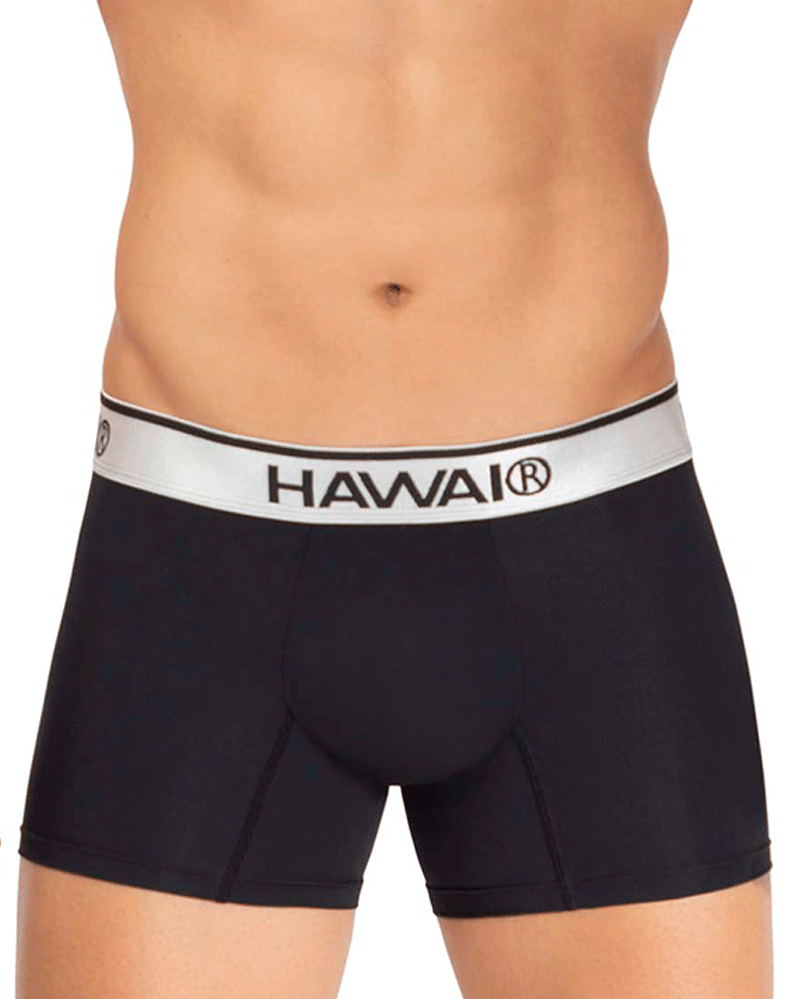 Hawai 42326 Microfiber Boxer Briefs – Steven Even - Men's Underwear Store