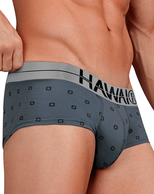Hawair 42531 Cotton Blend Briefs Gray