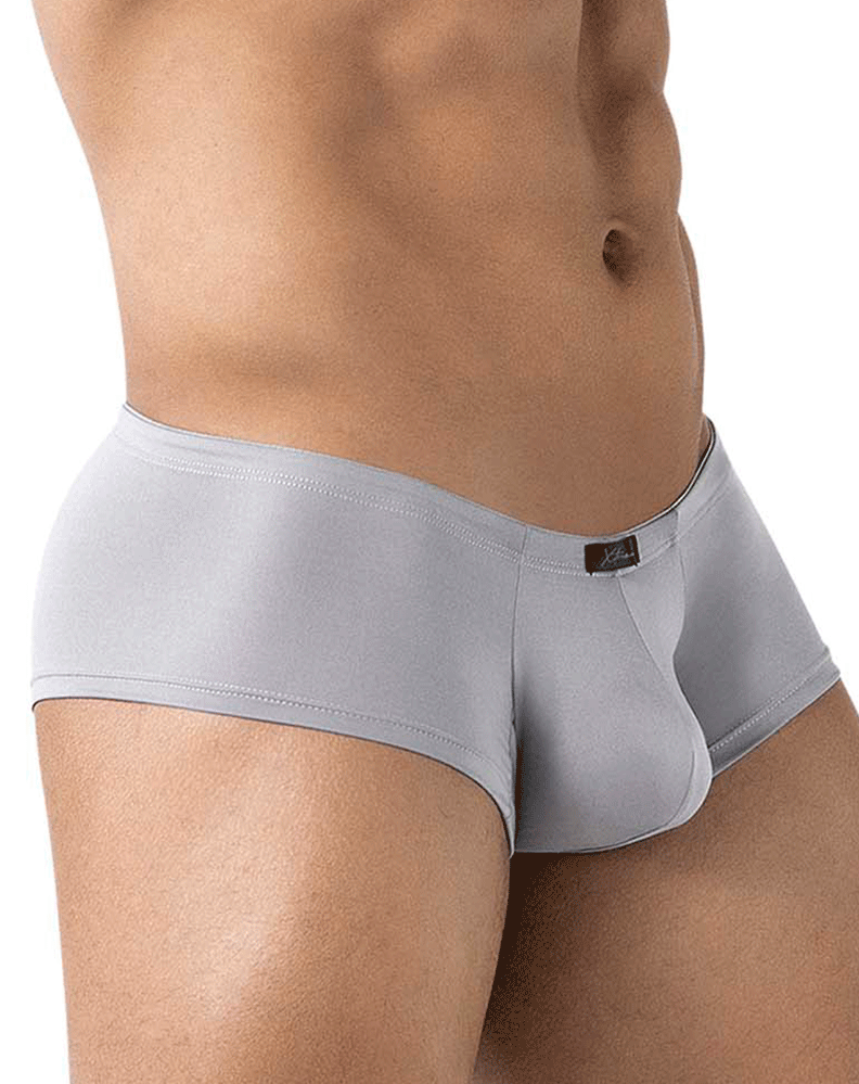 Xtremen 91219 Microfiber Trunks Gray