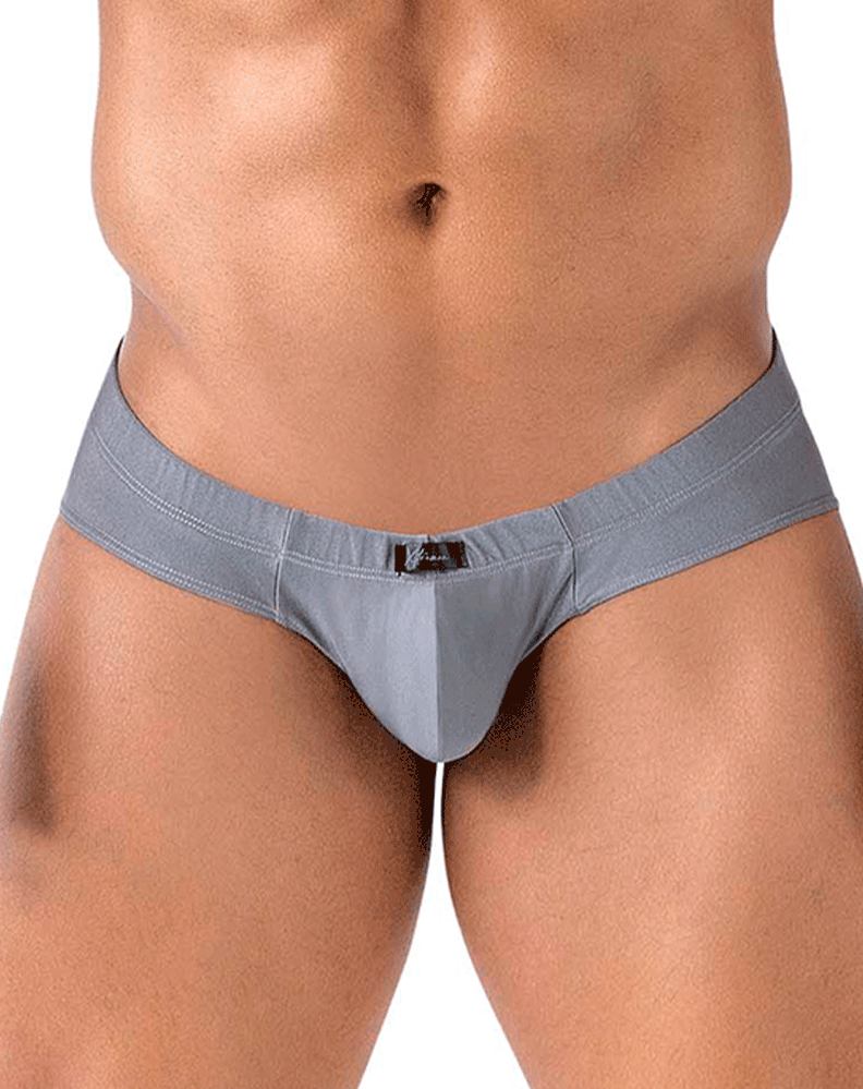Xtremen 91233 Microfiber Briefs Gray