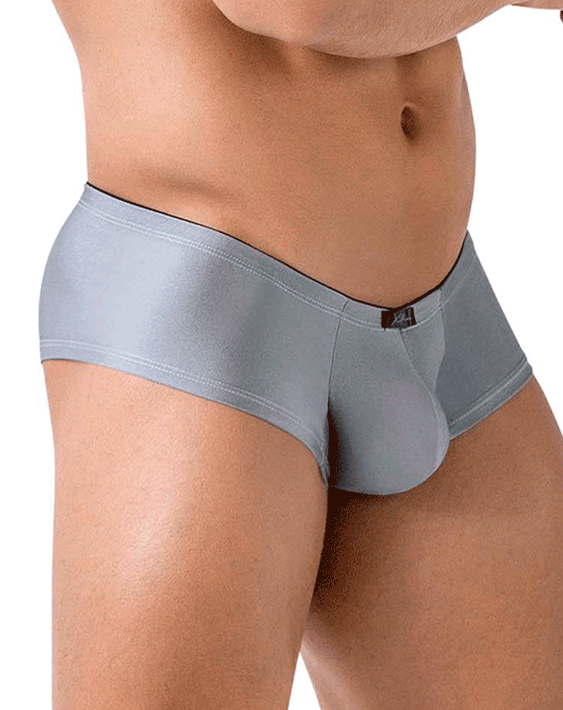 Xtremen 91234 Microfiber Trunks Gray
