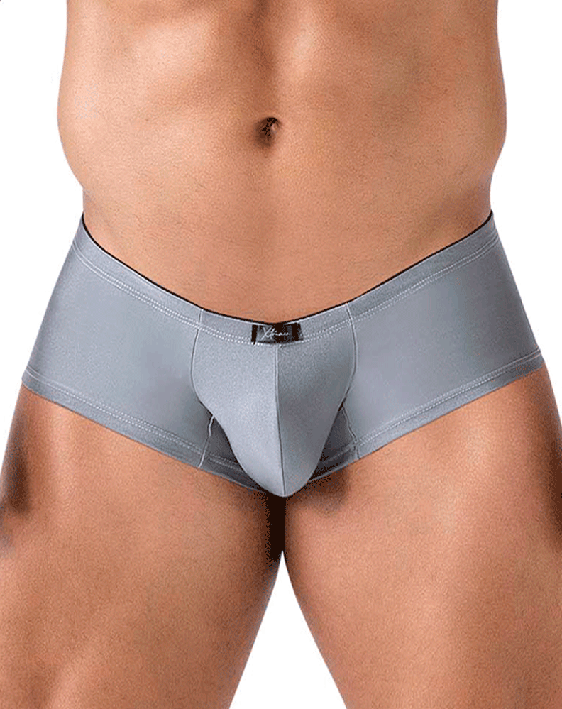 Xtremen 91234 Microfiber Trunks Gray