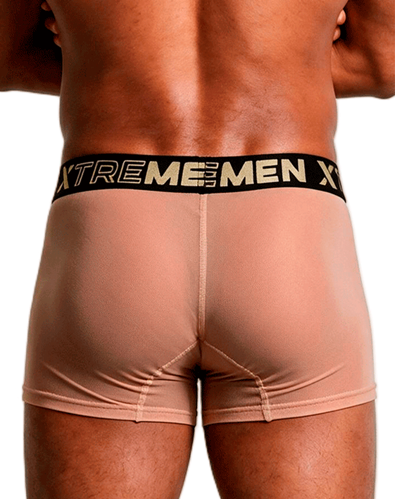 Xtremen 91277 Microfiber Mesh Boxer Briefs Brown