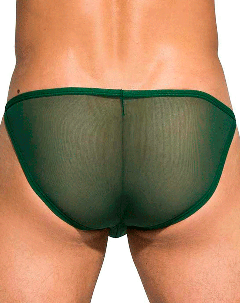 Private Structure Diamu3454bt Desire Intima Low Rise Bikini Green