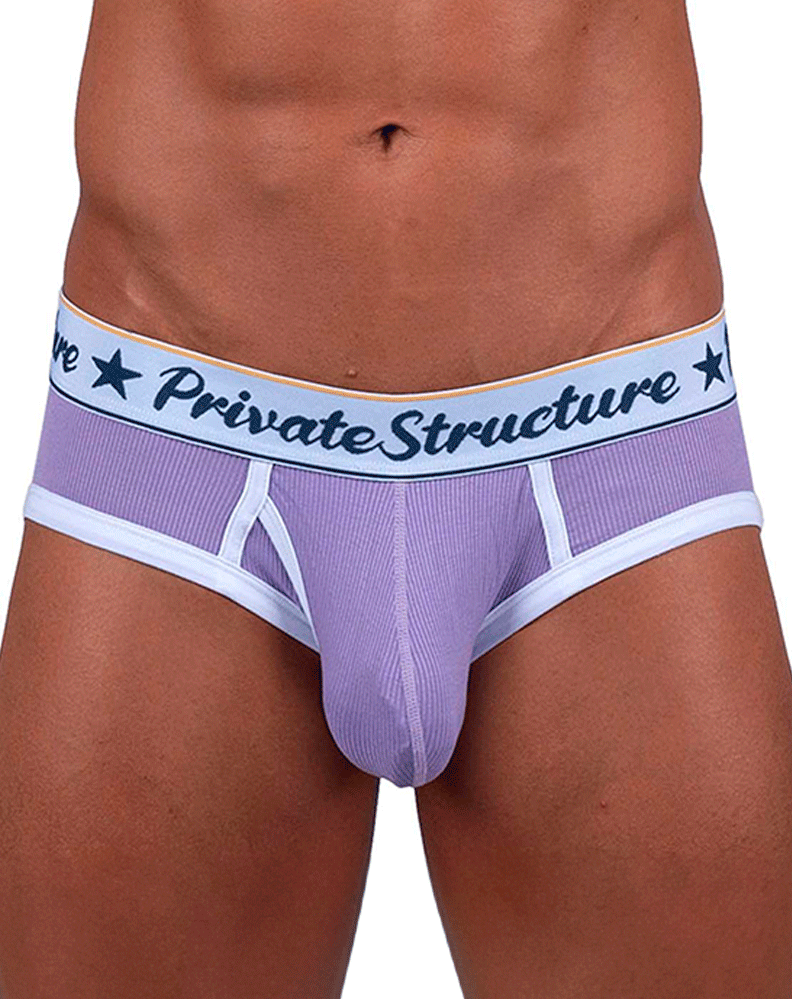 Private Structure Scus4529 Classic Mid Waist Mini Briefs Purple