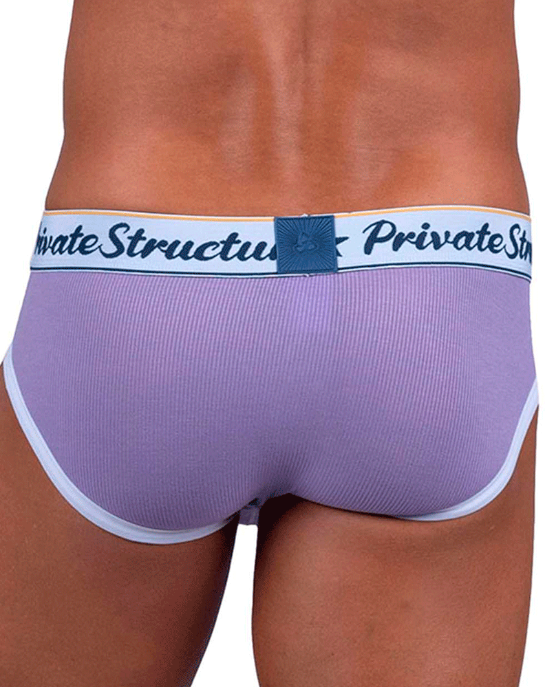 Private Structure Scus4529 Classic Mid Waist Mini Briefs Purple
