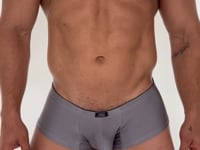 Xtremen 91234 Microfiber Trunks Gray