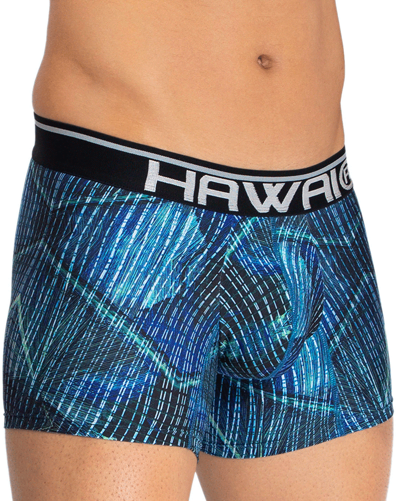 Hawai 42173 Printed Microfiber Trunks Royal Blue