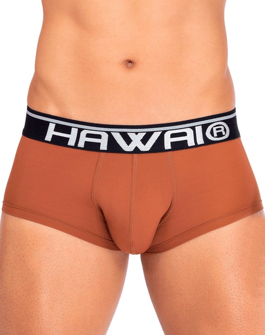Hawai 42181 Solid Microfiber Briefs Amber