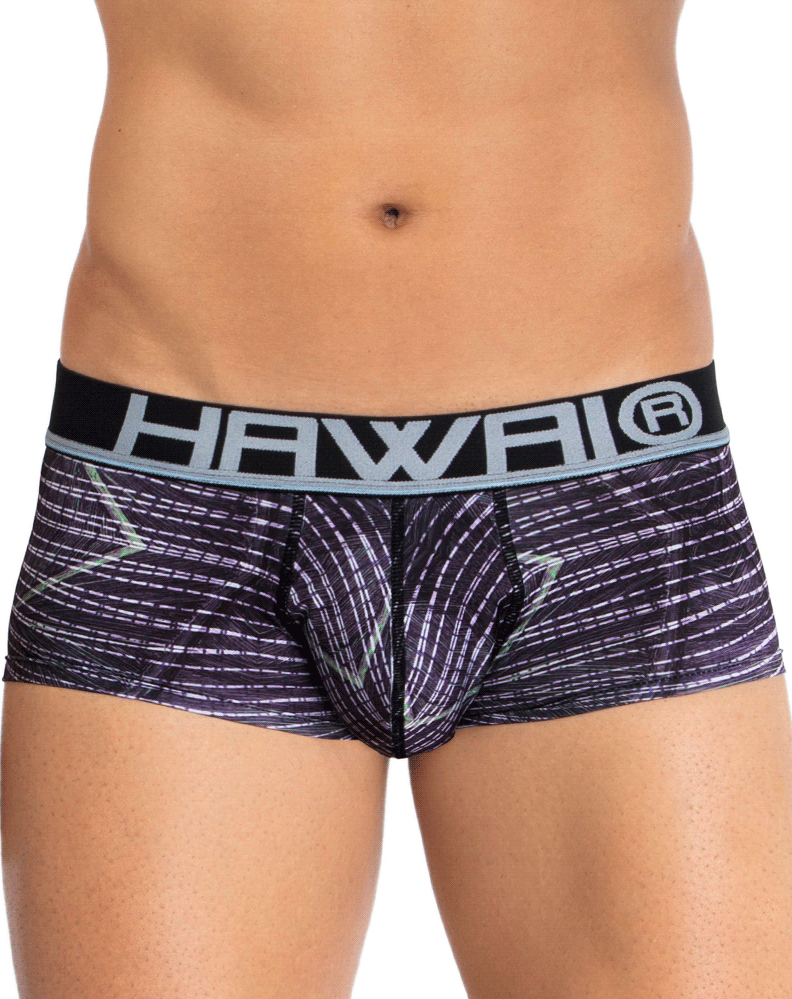 Hawai 42183 Printed Microfiber Briefs
