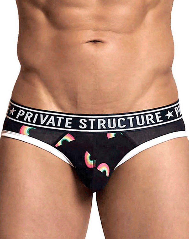 Private Structure Epux4187 Pride Mini Briefs