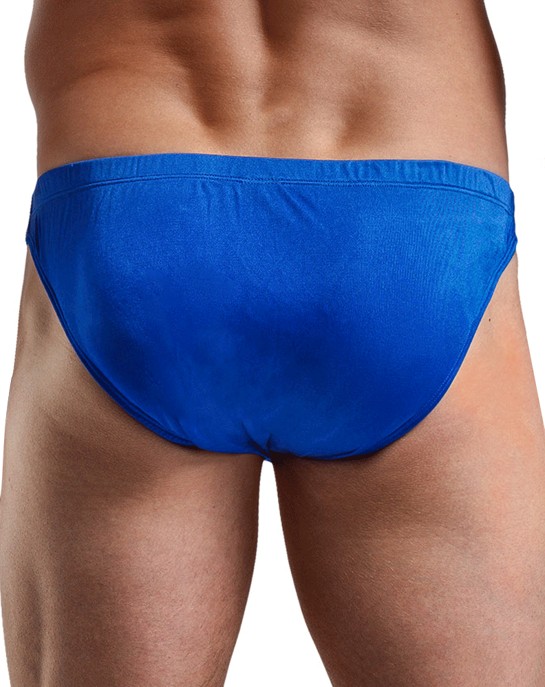 Magic Silk 6606 Silk Briefs