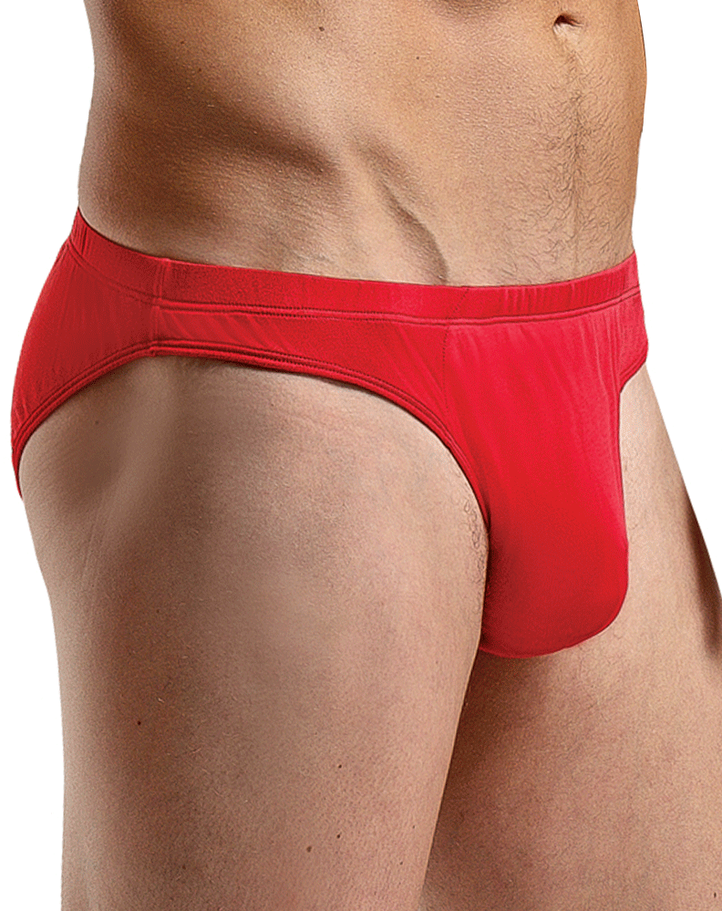 Magic Silk 6606 Silk Briefs