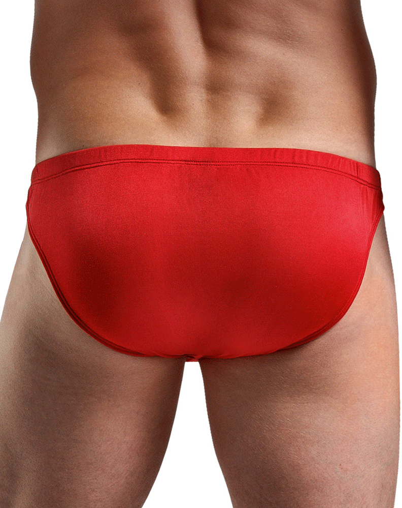 Magic Silk 6606 Silk Briefs
