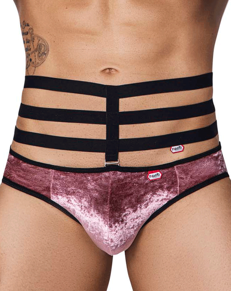 Pikante 1097 Clandestine Velvet Briefs Steven Even Men's Underwear